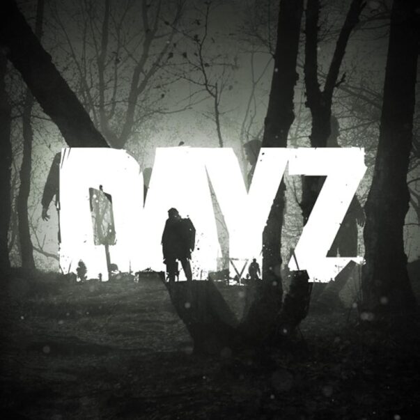 dayz